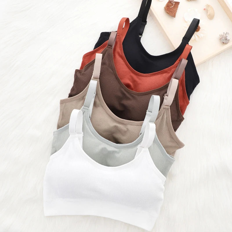 Seamless Padded Sports Bra