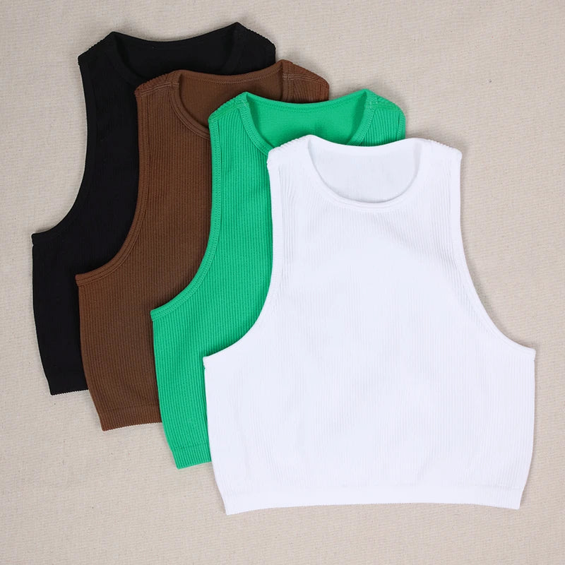 Seamless Sport Crop Top